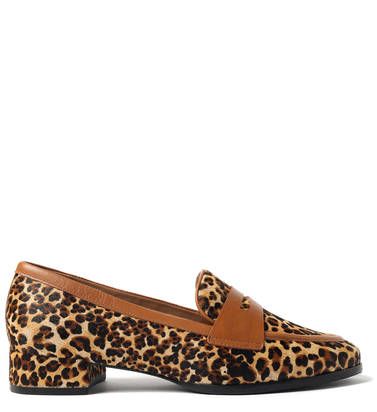 Vera Leopard Printed Leather Flat Arezzo