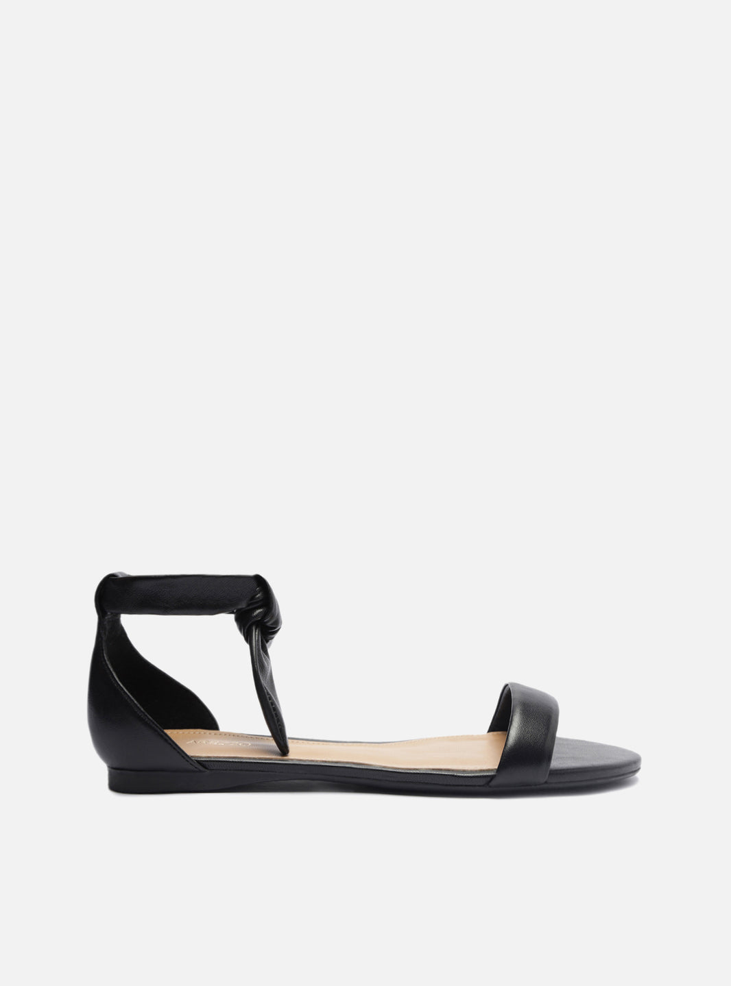 Flat Sandals: Dressy Flat Sandals, Strappy Flat Sandals & More - Arezzo